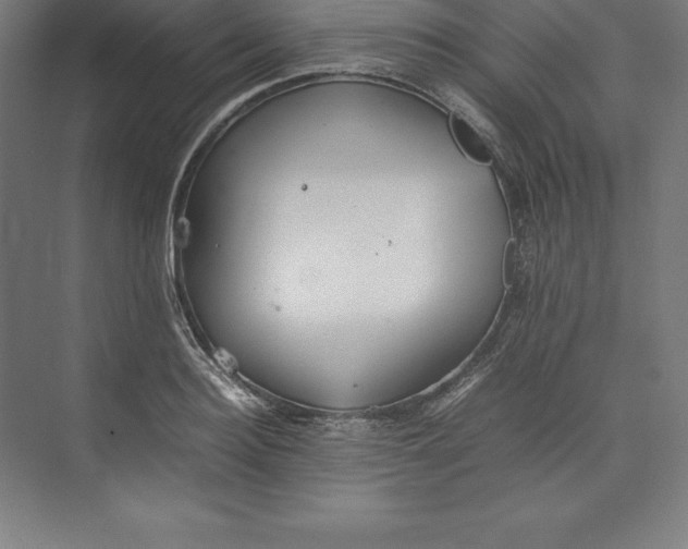 X0000074930940200609221635