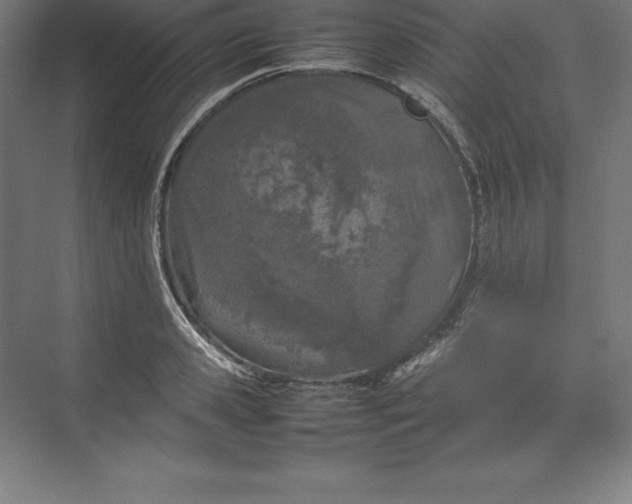 X0000074930941200609221635