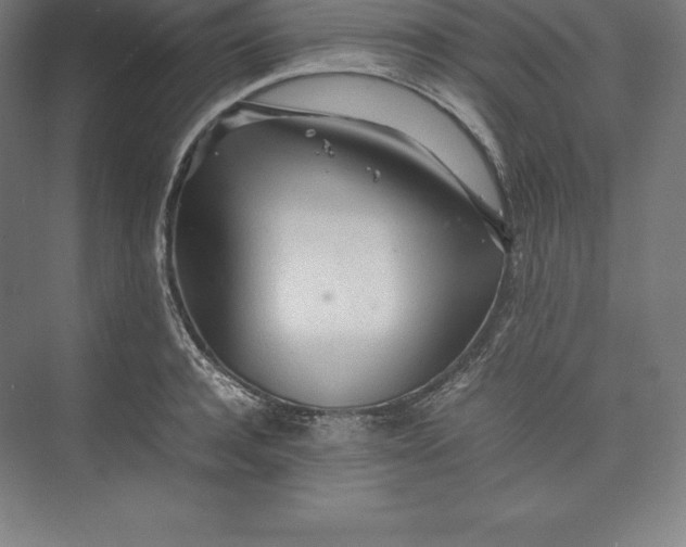 X0000074930944200609221635