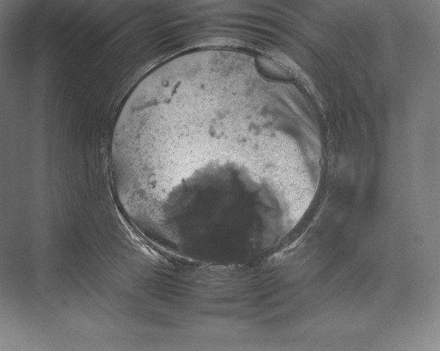 X0000074930945200609221635