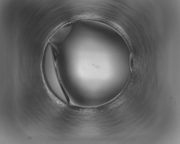 X0000074930946200609221635