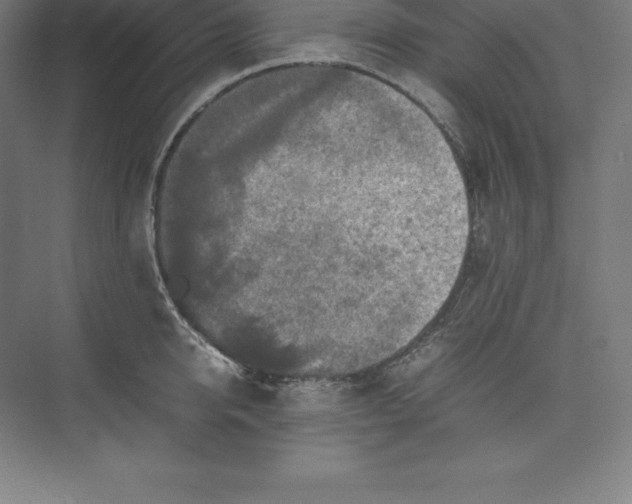 X0000074930950200609221635