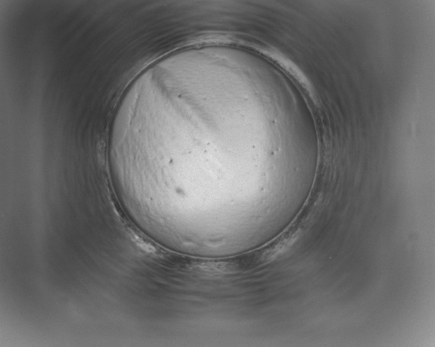 X0000074930953200609221635