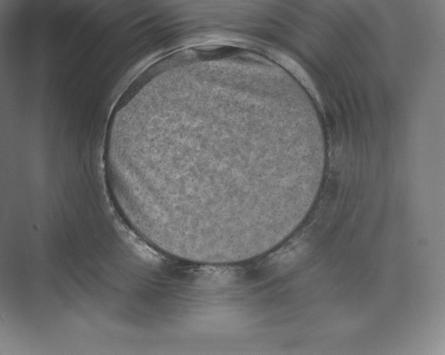 X0000074930954200609221635