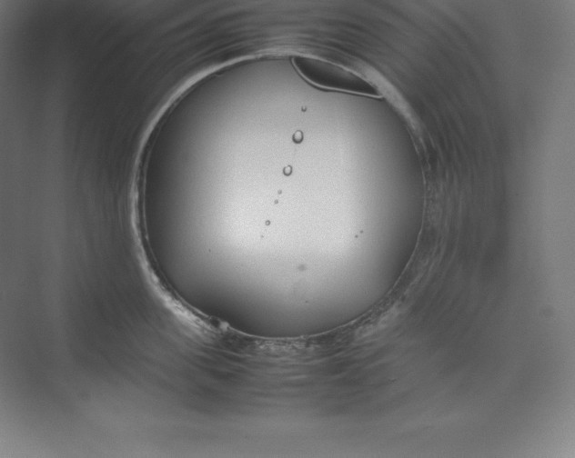 X0000074930955200609221635