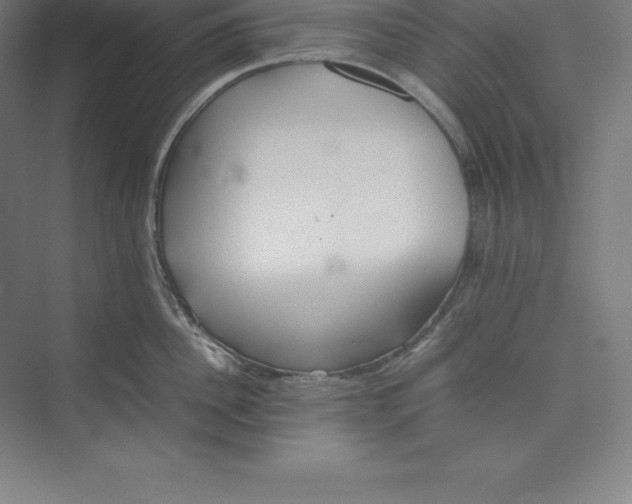 X0000074930956200609221635