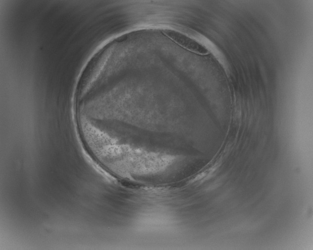 X0000074930958200609221635