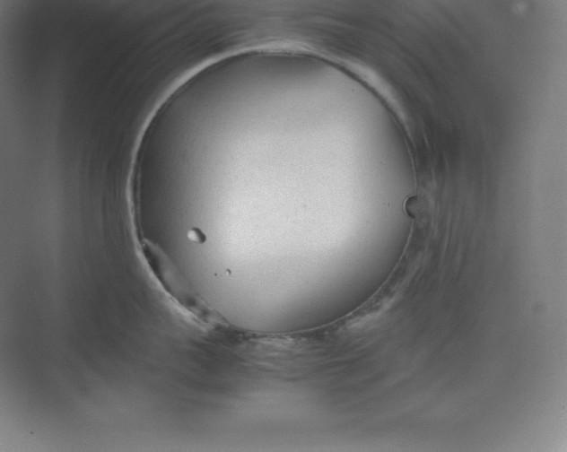 X0000074930959200609221635