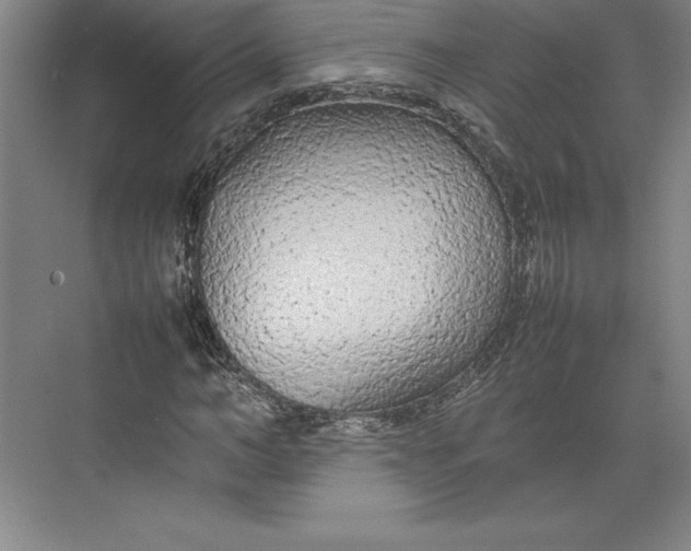 X0000074930966200609221635