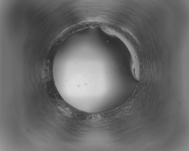 X0000074930968200609221635