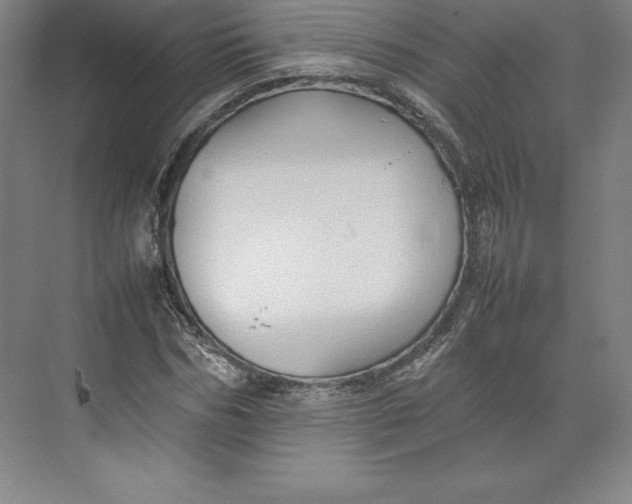 X0000074930970200609221635