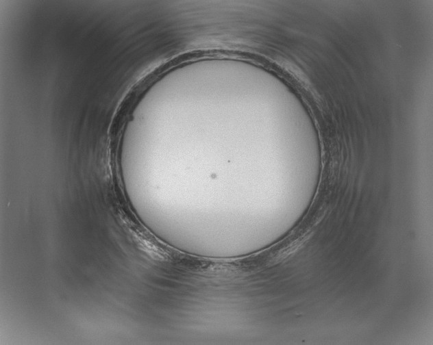 X0000074930974200609221634