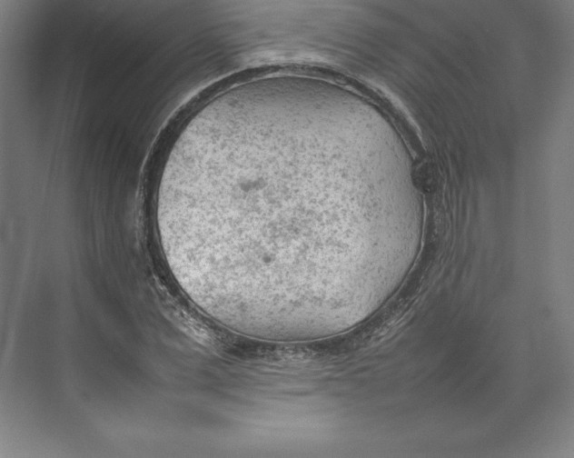 X0000074930975200609221634