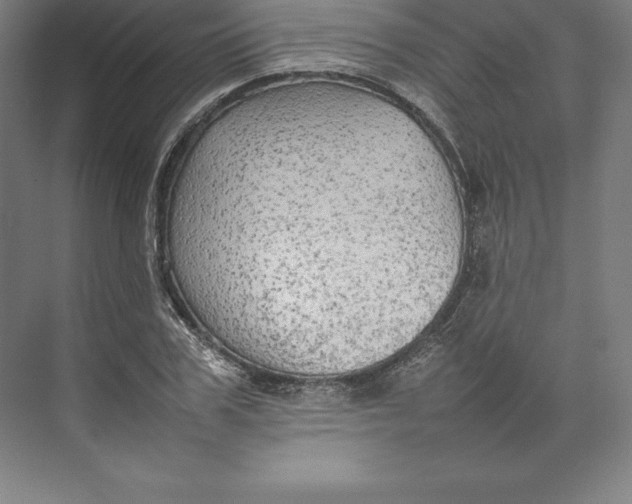 X0000074930979200609221634