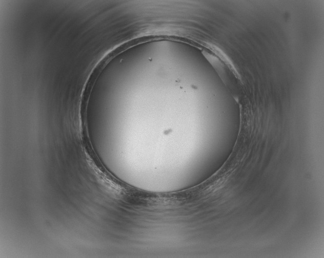 X0000074930980200609221634