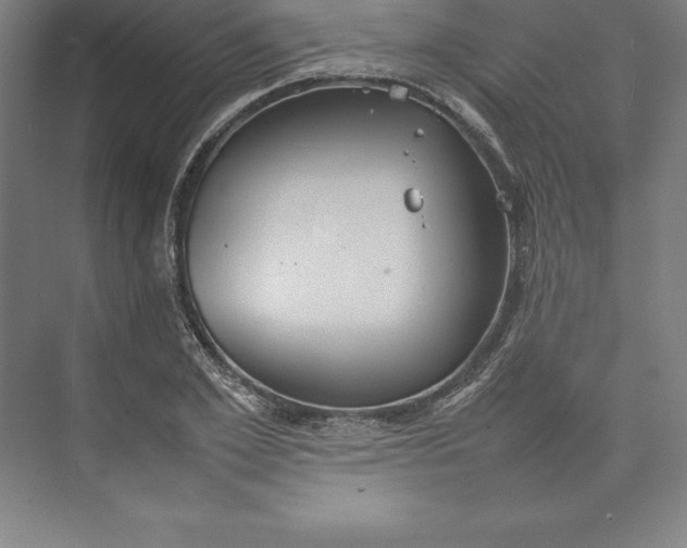 X0000074930981200609221634