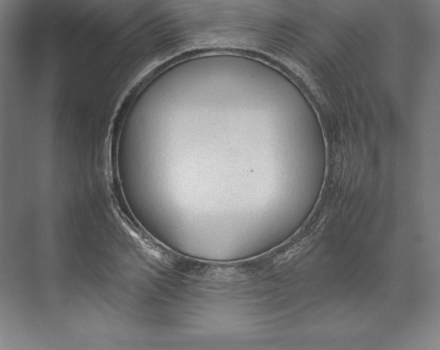 X0000074930982200609221634