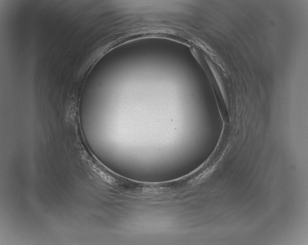 X0000074930985200609221634