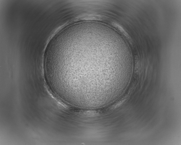 X0000074930986200609221634