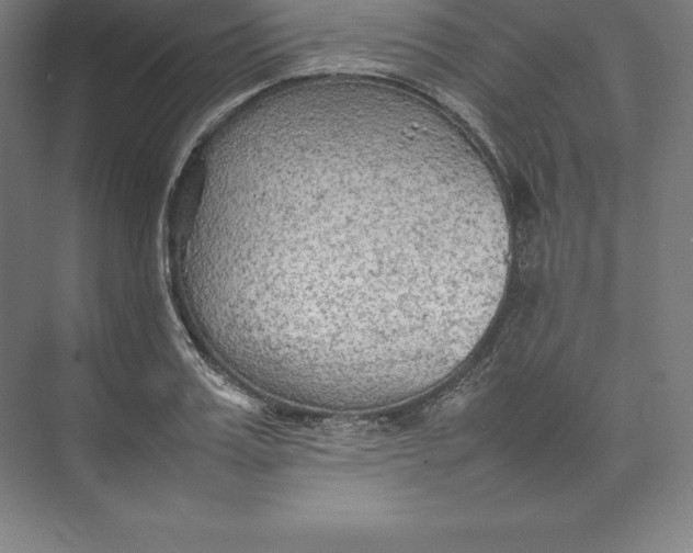 X0000074930987200609221634