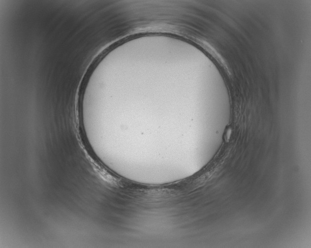 X0000074930988200609221634