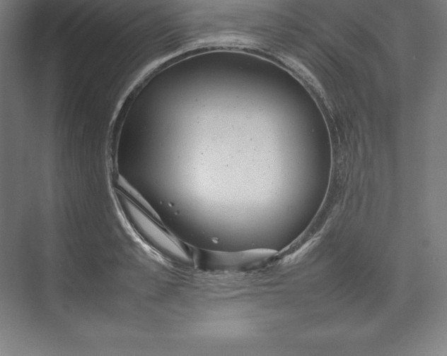 X0000074930989200609221634