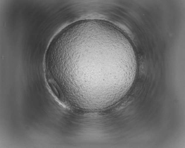 X0000074930990200609221634