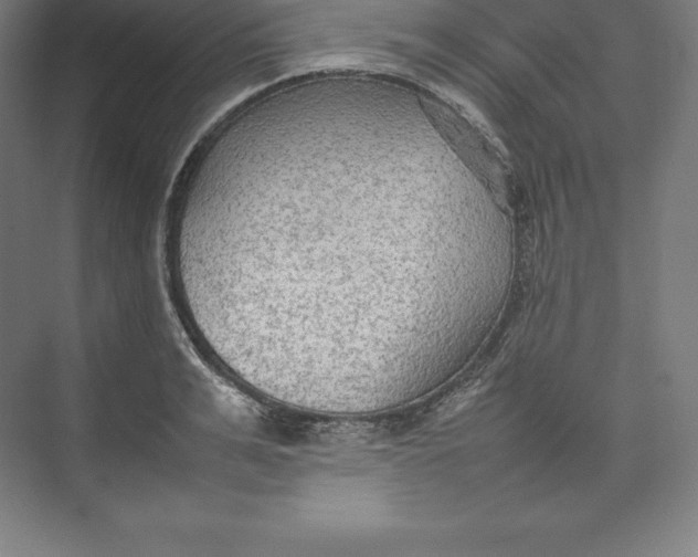 X0000074930991200609221634