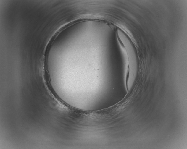 X0000074930992200609221634