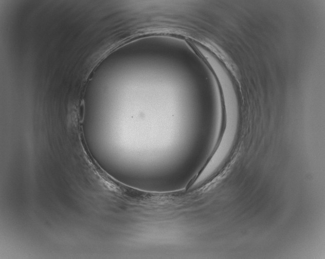 X0000074930993200609221634