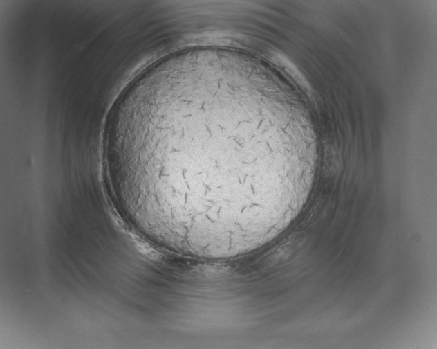 X0000074930994200609221634