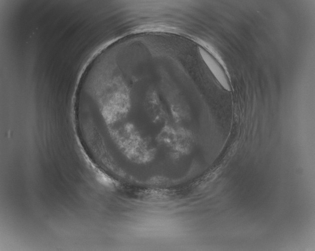 X0000074930995200609221634