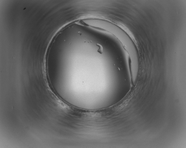 X0000074930996200609221634