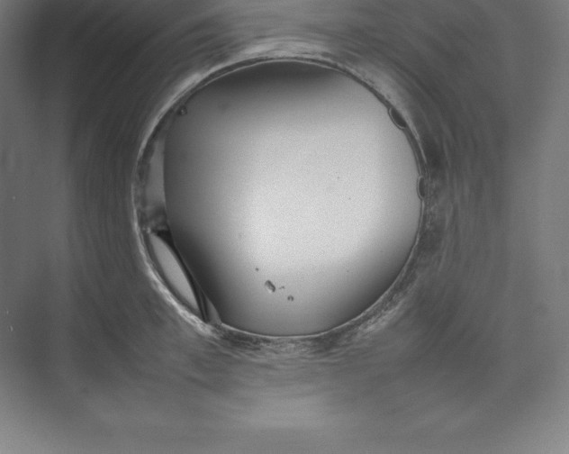 X0000074930997200609221634