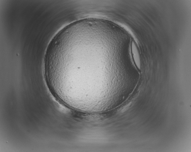 X0000074930999200609221634