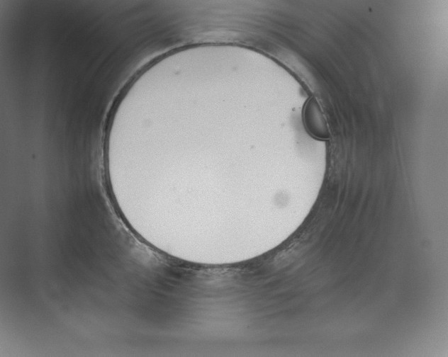 X0000074931000200609221634