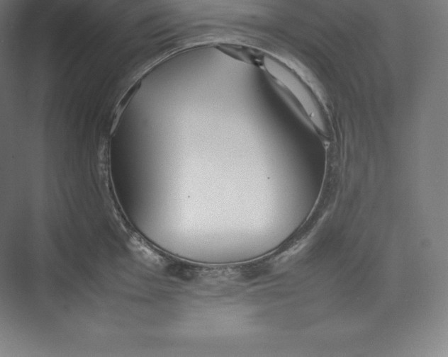 X0000074931001200609221634