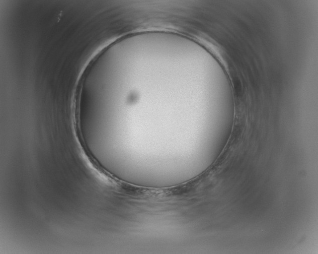 X0000074931003200609221634