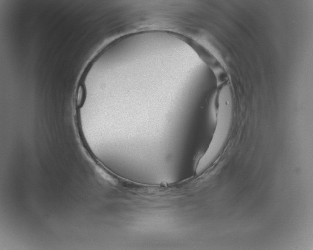 X0000074931005200609221634