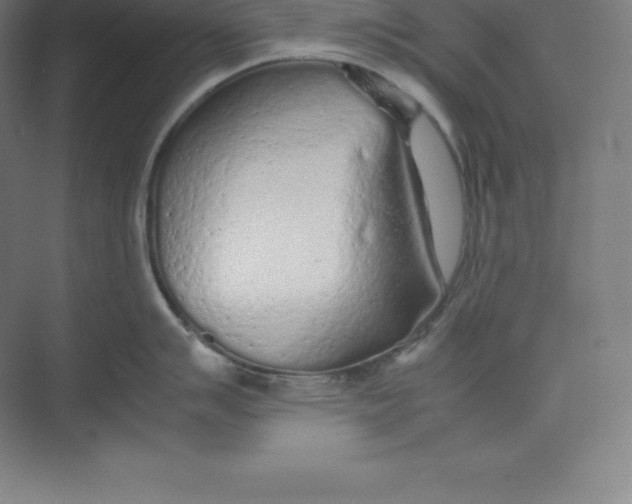 X0000074931007200609221634