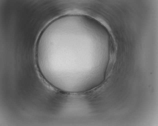 X0000074931008200609221634