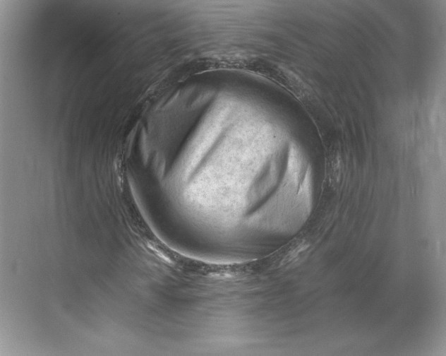 X0000074931010200609221633