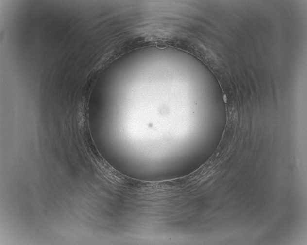 X0000074931012200609221633