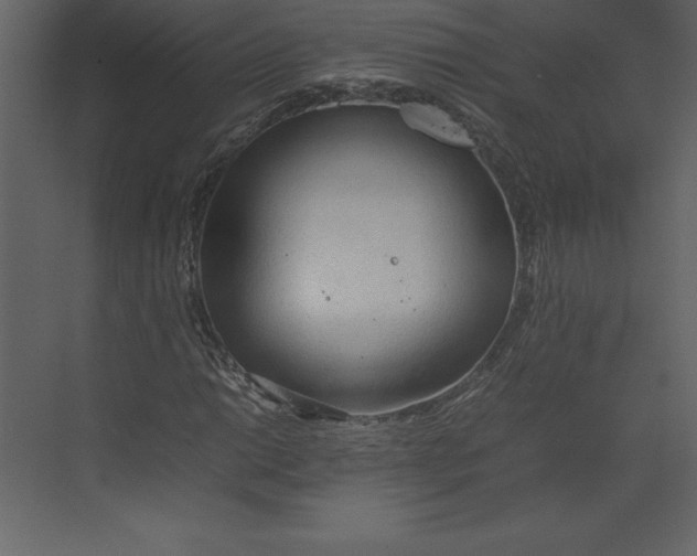 X0000074931014200609221633