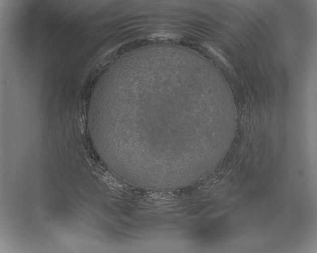 X0000074931015200609221633