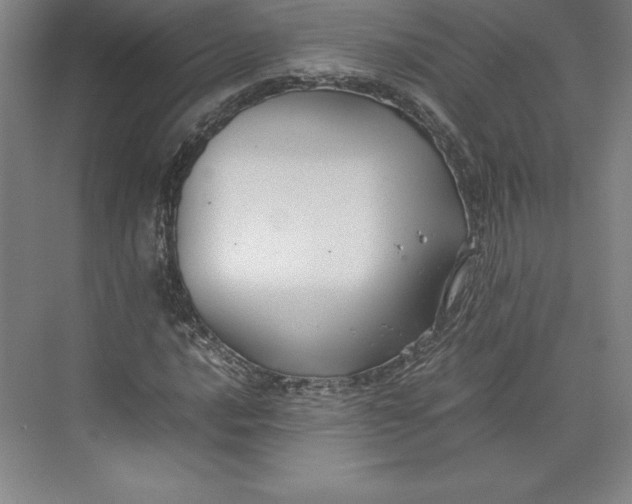 X0000074931016200609221633