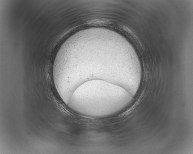 X0000074931017200609221633