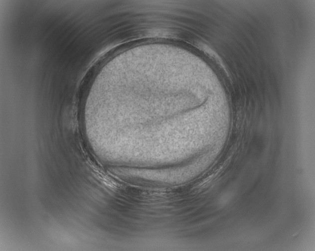 X0000074931019200609221633