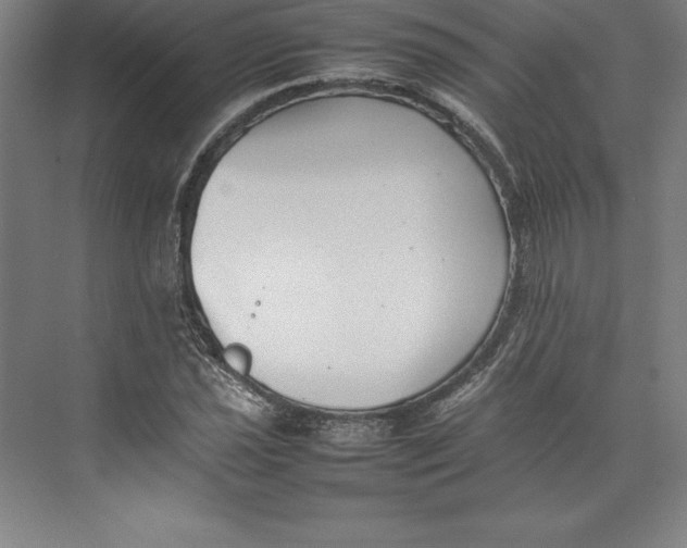 X0000074931021200609221633