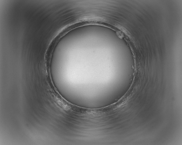 X0000074931022200609221633